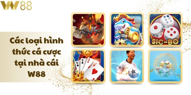 Các Loại Hình Cá Cược Tại Nhà cái W88